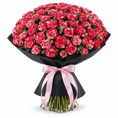 Монобукет из красно-белых кустовых роз «Розовое вдохновение»