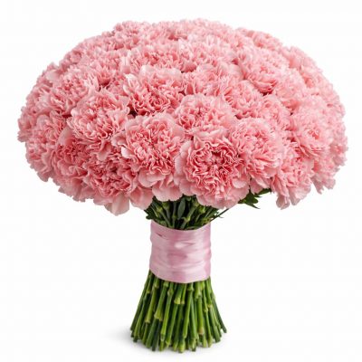 Гвоздика розовая