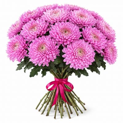 Хризантемы одноголовые