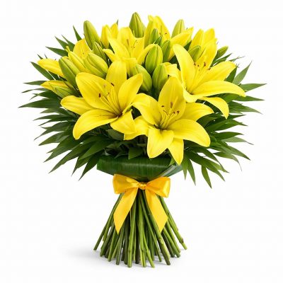 Лилия желтая