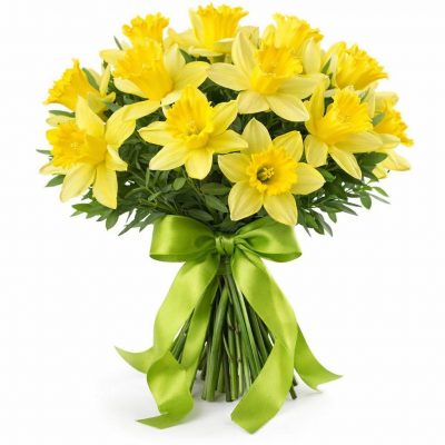 Нарцисс желтый