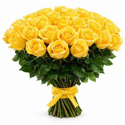 Розы Голландия