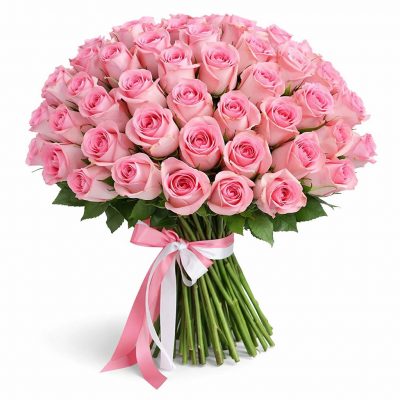 Розы Кения розовые