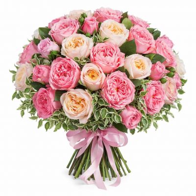 Розы Пионовидные одноголовые