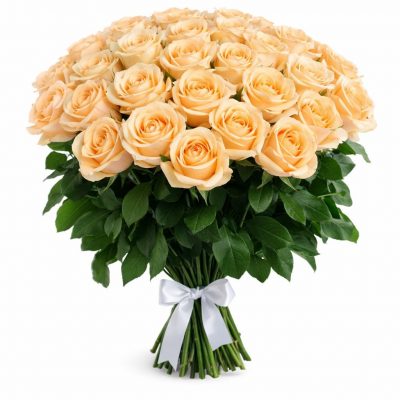 Розы Россия кремовые