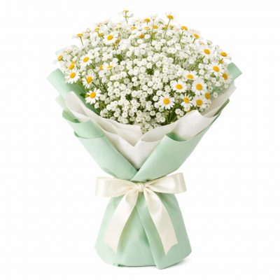 Букет ромашек «Весенний каприз»