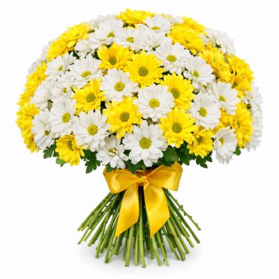 Хризантема кустовая микс 5