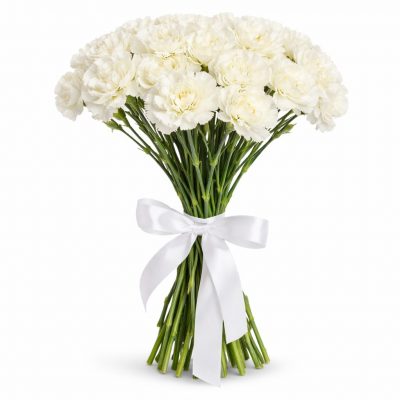 Диантус белый