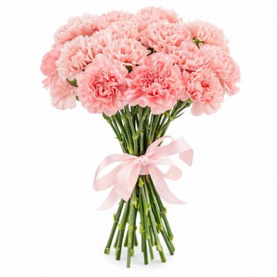 Диантус светло-розовый