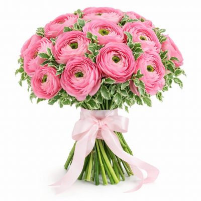 Ранункулюсы