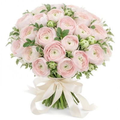 Ранункулюс светло-розовый