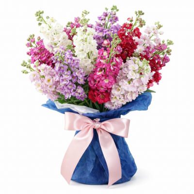 Букет с маттиолами микс «Цветочный фейерверк»