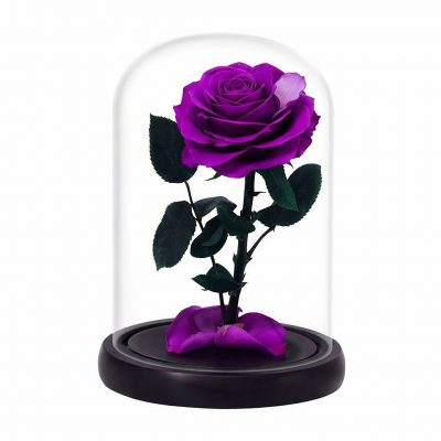 Роза в колбе фиолетовая