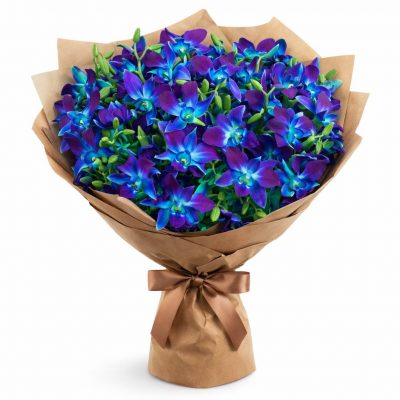 Букет из синих дендробиумов «Лазурное вдохновение»