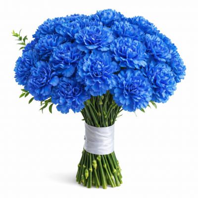 Гвоздика синяя